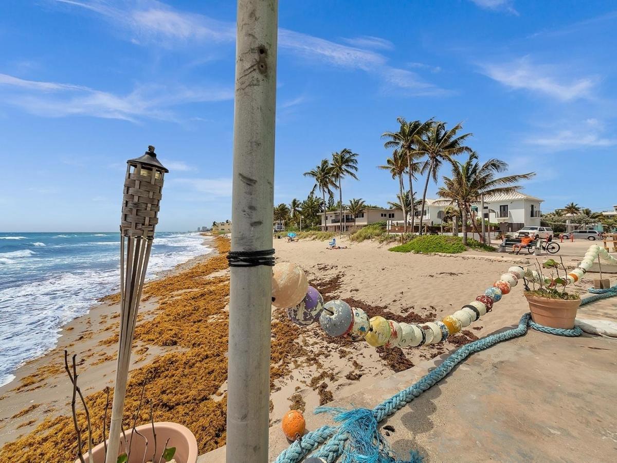 The Shell On Walnut 1Br1Bath Hollywood Beach Free Parking Dania Beach Exterior foto